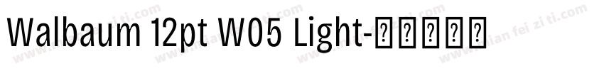 Walbaum 12pt W05 Light字体转换